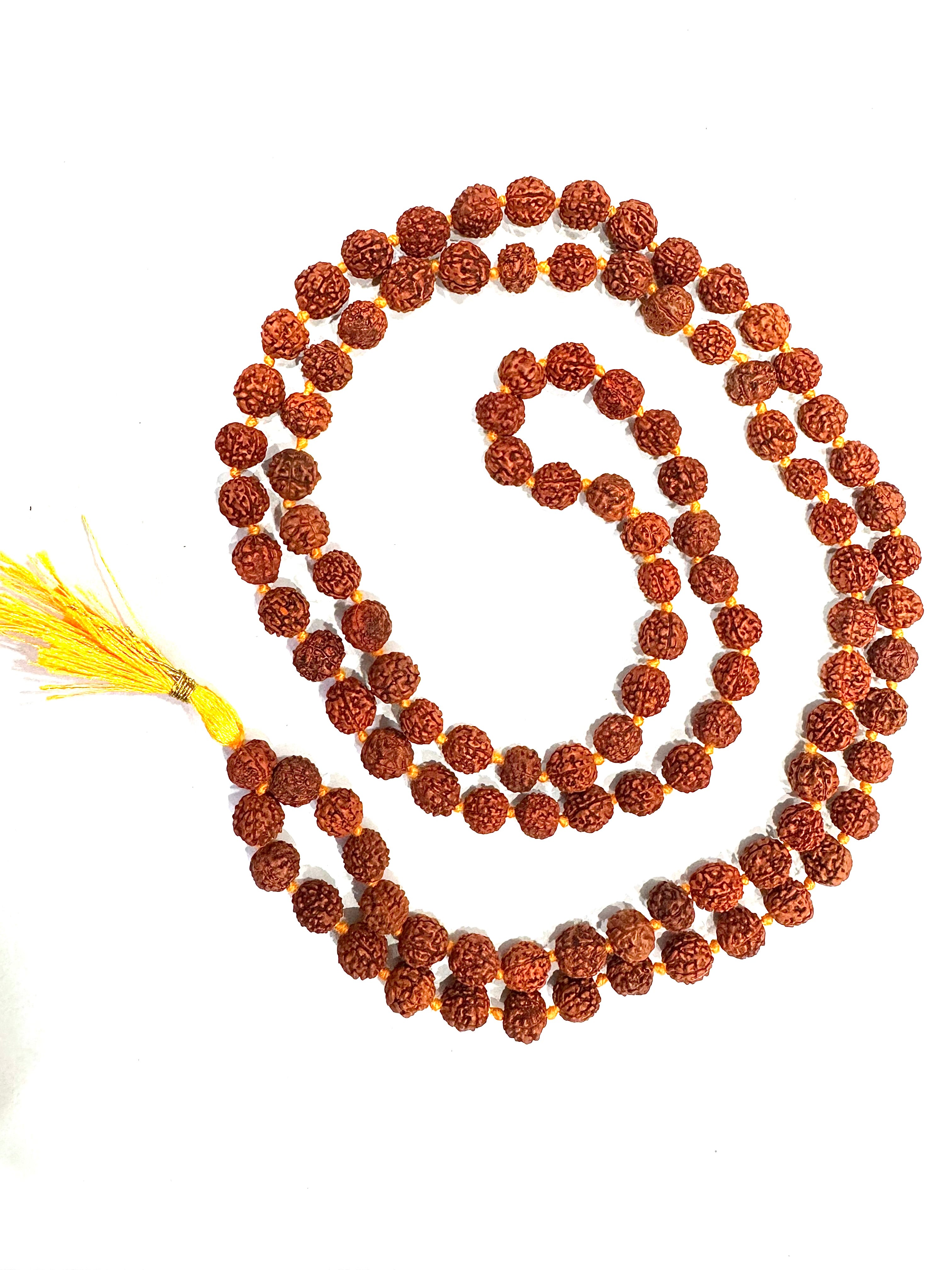 Natural Rudraksh  5F Bracelet – Healing, Energy & Style