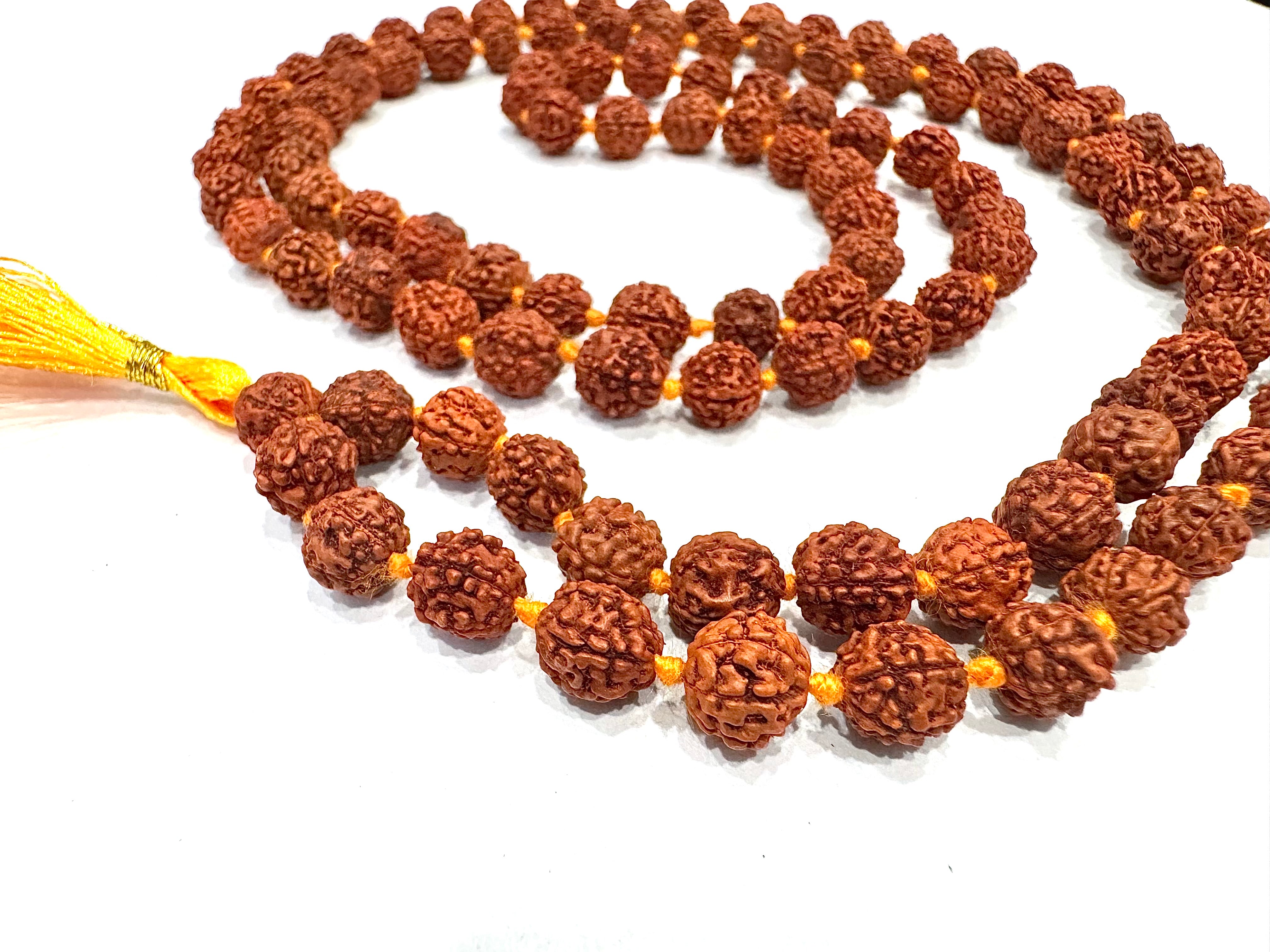 Natural Rudraksh  5F Bracelet – Healing, Energy & Style